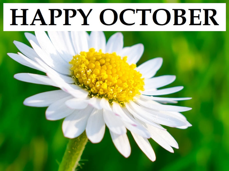 Happy New Month of October to You!
