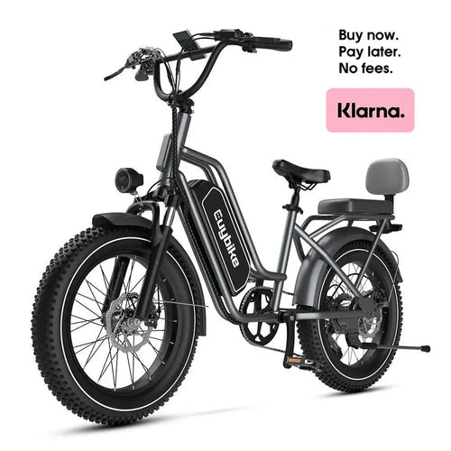 EUYBIKE 1000W Dual Motor 48V20AH 20