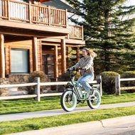 EUYBIKE 1000W Dual Motor 48V20AH 20" Smart EBike City Cruiser & Mountain Snow Electric Bike