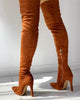 DORA Women's Elegant Fine Fashion Soft Lining Velvet Suede Thigh High Dress Boots - Divine Inspiration Styles