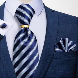DBG VIP Design Collection Men's Fashion Royal Blue Parsley 100% Premium Quality Silk Tie Set - Divine Inspiration Styles