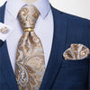 DBG VIP Design Collection Men's Fashion 100% Premium Quality Fully Woven Silk Tie Set - Divine Inspiration Styles