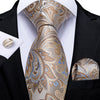 DBG VIP Design Collection Men's Fashion Luxury Purple Red Blue 100% Premium Quality Silk Tie Set - Divine Inspiration Styles