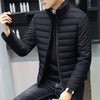 JMC Design Men's Fashion Premium Quality Light Jacket Business Casual Zipper Jacket - Divine Inspiration Styles