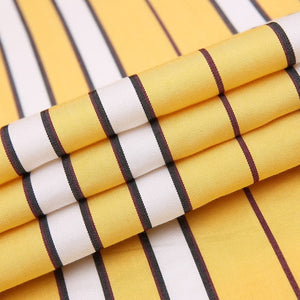 CAIZIYIJIA Men's Classic Trendy Fashion Casual Long Sleeves Stripes Dress Shirt - Divine Inspiration Styles