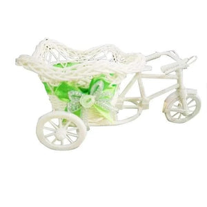 SOLEDI Tricycle Bike Basket Garden Vase for Home Decorations - Divine Inspiration Styles