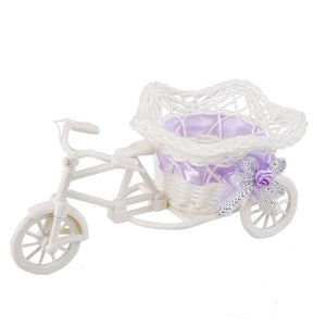 SOLEDI Tricycle Bike Basket Garden Vase for Home Decorations - Divine Inspiration Styles
