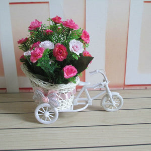 SOLEDI Tricycle Bike Basket Garden Vase for Home Decorations - Divine Inspiration Styles