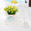 SOLEDI Tricycle Bike Basket Garden Vase for Home Decorations - Divine Inspiration Styles