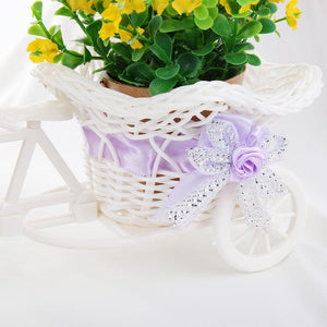 SOLEDI Tricycle Bike Basket Garden Vase for Home Decorations - Divine Inspiration Styles