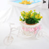 SOLEDI Tricycle Bike Basket Garden Vase for Home Decorations - Divine Inspiration Styles