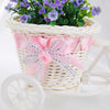 SOLEDI Tricycle Bike Basket Garden Vase for Home Decorations - Divine Inspiration Styles