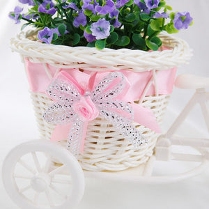 SOLEDI Tricycle Bike Basket Garden Vase for Home Decorations - Divine Inspiration Styles