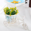 SOLEDI Tricycle Bike Basket Garden Vase for Home Decorations - Divine Inspiration Styles